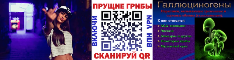 Галлюциногенные грибы Psilocybe  Гдов 